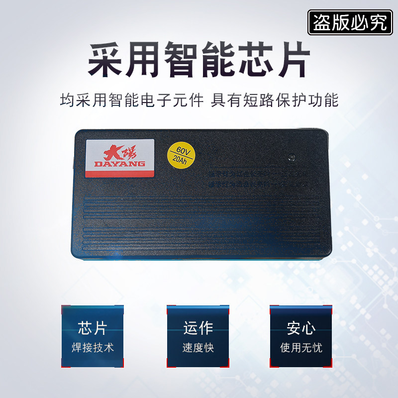大阳原装正品电动车电瓶充电器36V12AH48V20AH60V30AH72V32AH原厂