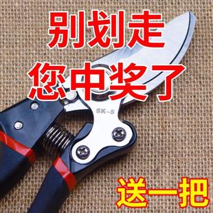 原装 日本VVT进口SK5强力园艺修枝剪新款 园林家用省力款 花枝