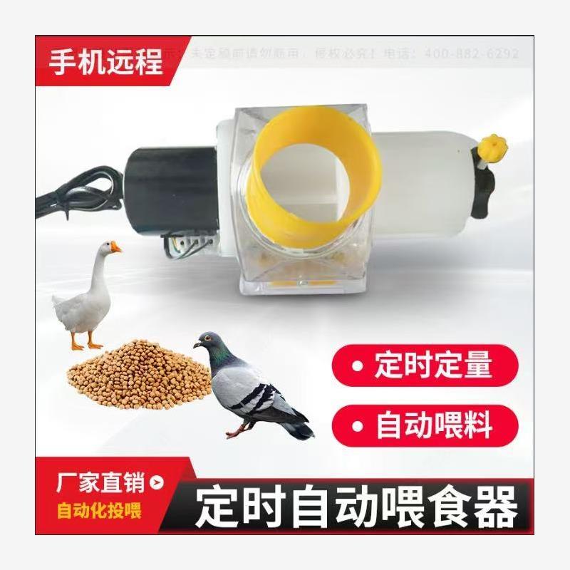 家禽鸽子信鸽智能鸡鸭远程喂食用品食槽用具自动喂鸡定时神器下料