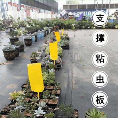 粘虫板支撑架多用途支架黄板小飞虫支撑记号牌花卉标签盆景插地牌