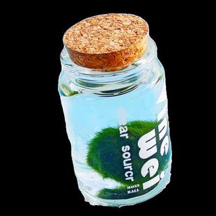 包邮 moss绿藻球水藻球生态玻璃瓶微景观创意迷你水培植物水底盆栽