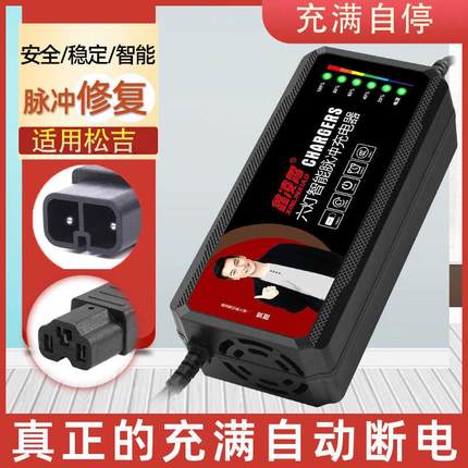适用松吉新国标电动车电瓶通用充电器48V12AH60V20AH72V30AH两孔
