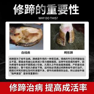牛用修蹄刀盘进口合金修蹄剪刀盘奶牛修蹄工具修牛蹄角磨机刀盘