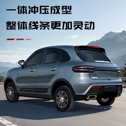 电动四轮车新能源汽车油电两用