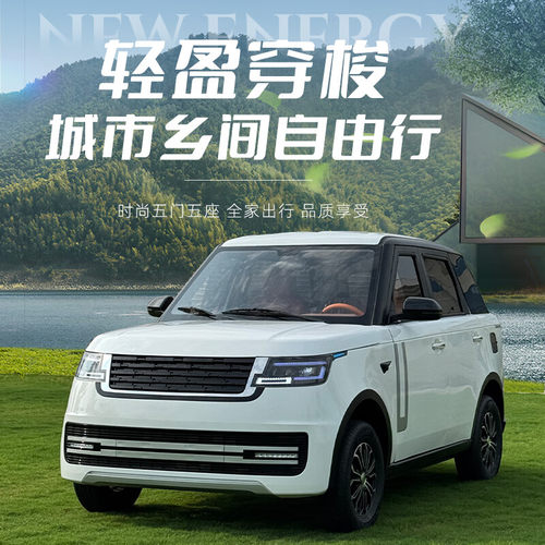 电动四轮车路虎新能源汽车