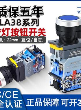 YIJIA一佳22mm YJ139-LA38带灯按钮开关复位自锁电源按键24V220V