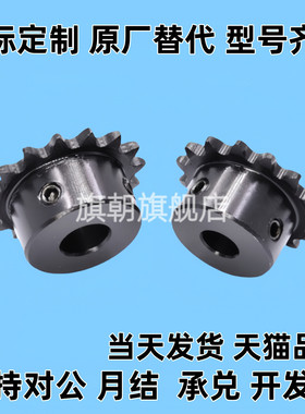 双驱链轮SP40SD12 13 14 15 16 17 18-N-15 18 20 25齿轮