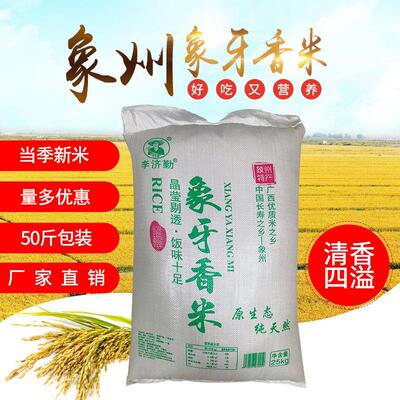 新大米50斤一袋象州牙香软