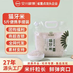 猫牙籼米2025新米5斤丝苗米小包装团购特惠手提袋招标会销福