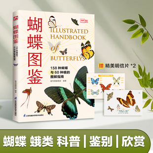 蝴蝶图鉴 特征图鉴图解珍藏科普读物指南野外观蝶鸟蝴蝶文化与鉴赏家族生态图解动植物自然科普百科书籍 158种蝴蝶与60种蛾类