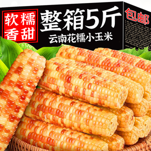 云南西双版纳香糯小玉米花糯棒傣家新鲜现摘产地直发真空包装5斤
