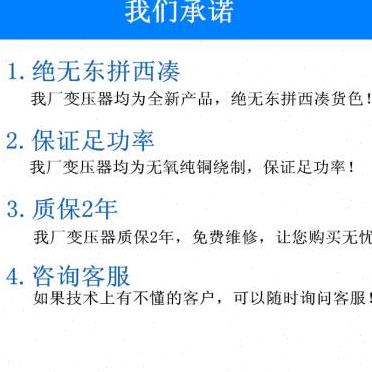 汽车充电机专用环形变压器60A纯铜线圈6V12V24Vu.