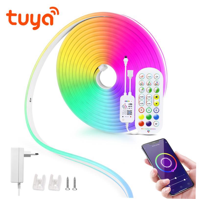 12V LED Strip Neon Lights Tuya Smart Life WiFi Bluetooth RGB
