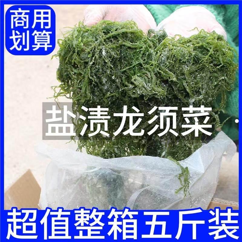 盐渍龙须菜新鲜海菜海藻火锅凉拌菜石花菜食材海草发菜商用家用