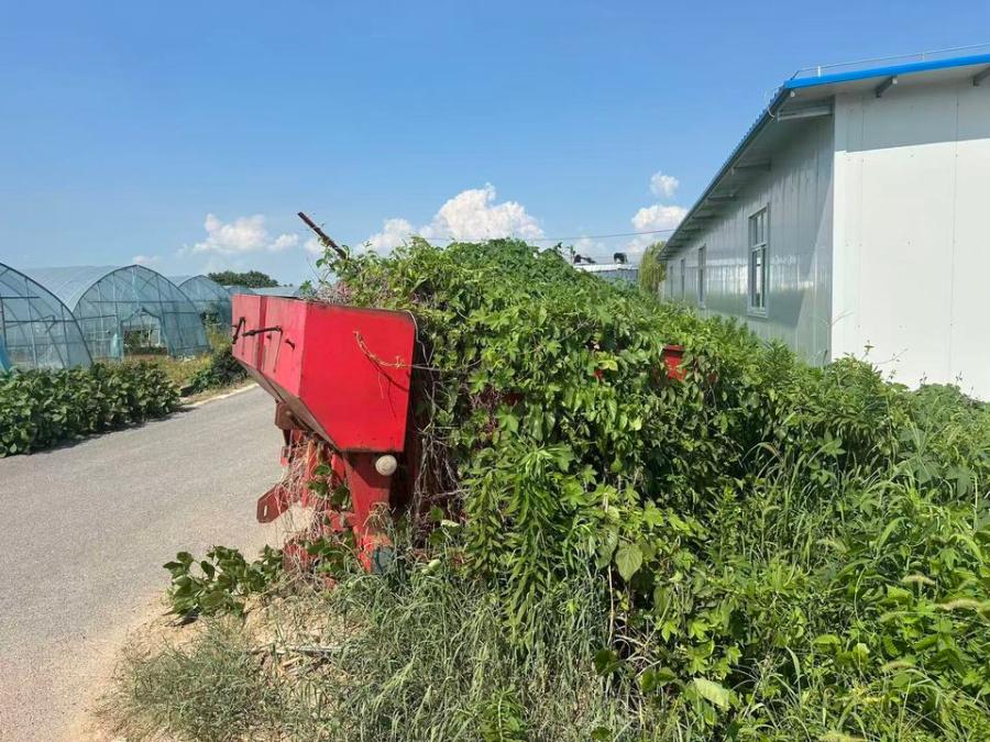 11月26日苏州常阴沙现代农业示范园区管理委员会的废旧马铃薯种植机2台网络拍卖公告