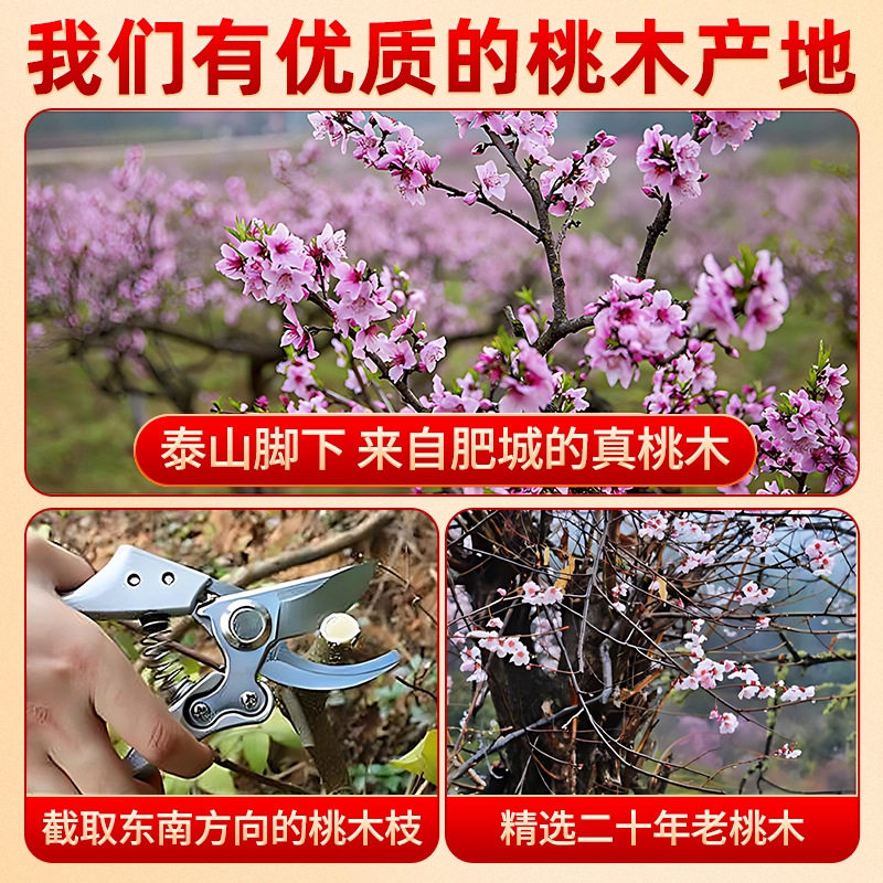 野生老桃木棍挂件随身天然条宝宝木雕