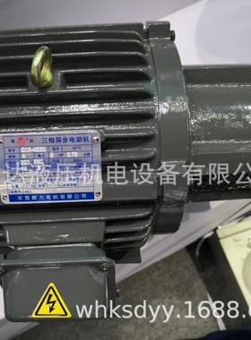 长嘴CHYUN TSEH油泵电机 TRADE S.Y MARK 电机 C7B-43BO 长轴电机