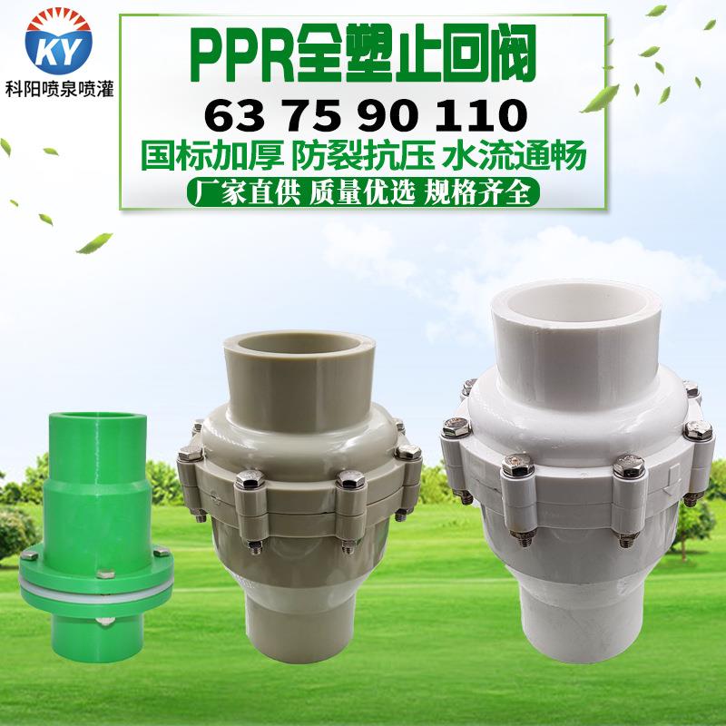 PPR全塑止回阀63 75 90 110家装精品PPR水暖热熔管件配件阀门