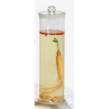 标本瓶45*90 45*120 45*150 45*180 45*210 45*240mm