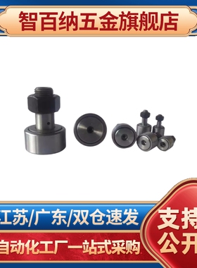 国产BPB01 02 05 BPB11 12 -d3-d4-d5-d6 微型凸轮随动器滚轮轴承