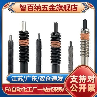 NPJL3/4/5/6/5/10/12/16/20/24-1.5/2/3/4/5/10/15/20/30弹簧柱塞