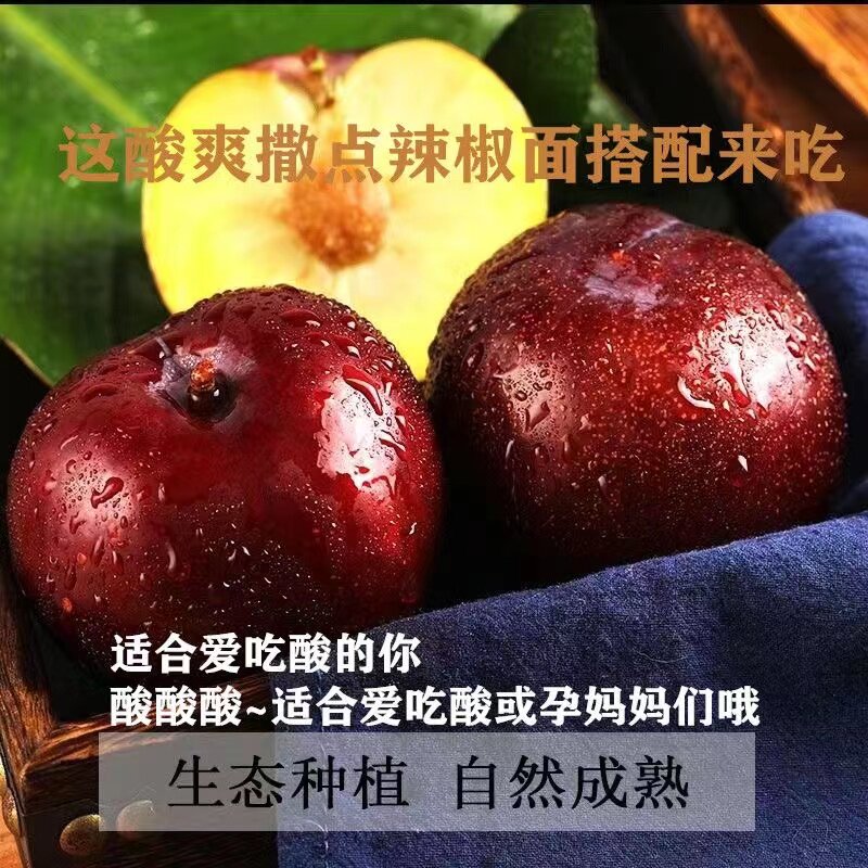 现货黑布林李子1/3/5斤/酸甜孕妇新鲜水果黑布朗恐龙蛋李子当季