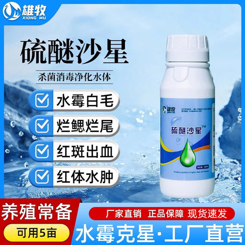 水霉病专治鱼白毛硫醚沙星
