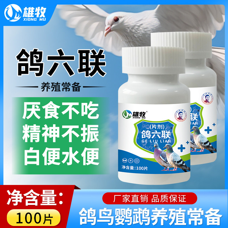 鸽六联片鸽子专用炸毛歪头绿便水便新城役食欲不振甩食拉吐鸽用品