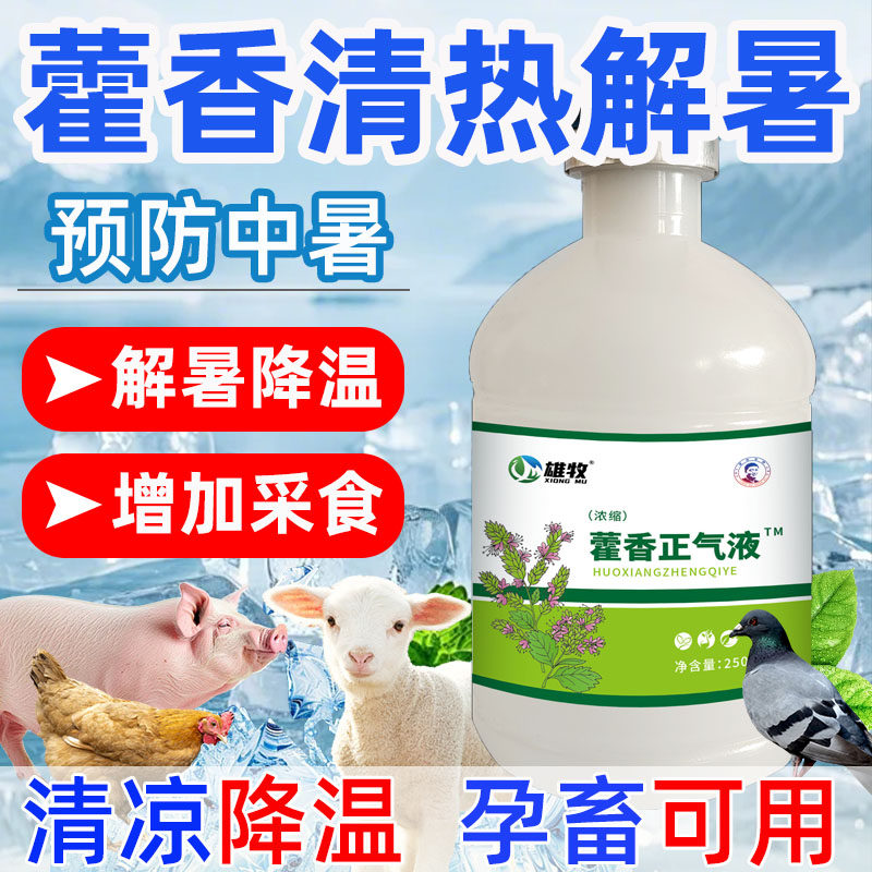 藿香水兽用藿香正气液鸡用猪牛羊鸡鸭鹅清凉解暑宝冰爽防中暑采食