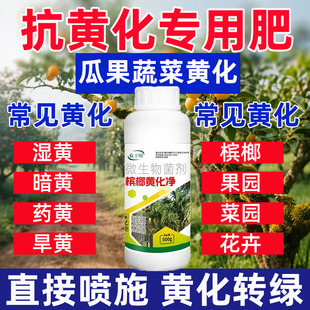 槟榔黄化一撒清黄化病专用果园烂心病黄叶落花落果通用菌剂农用