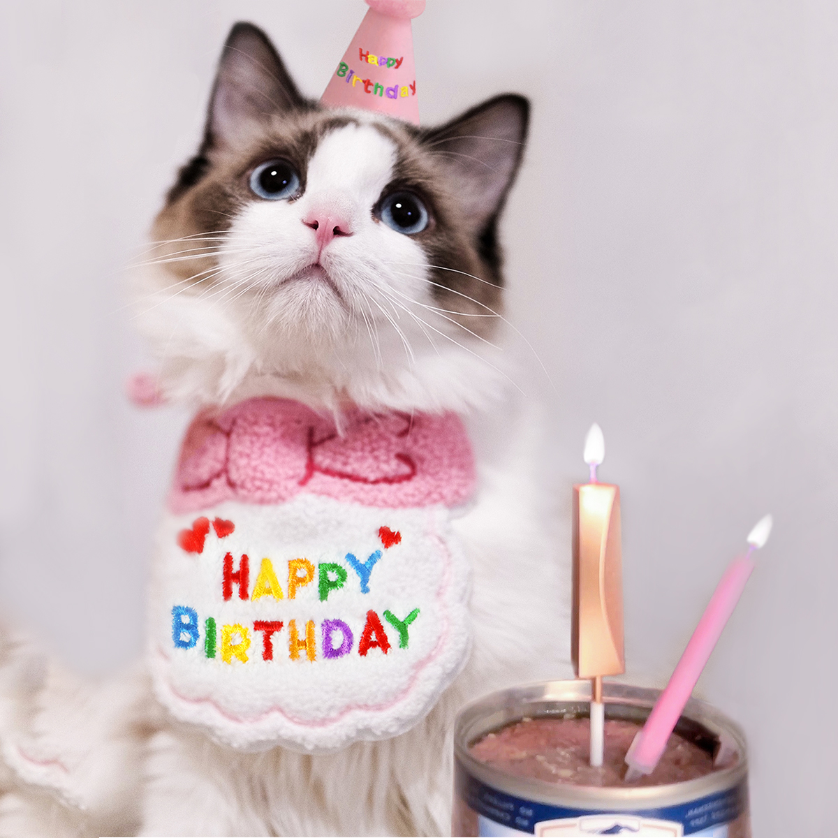 狗狗猫咪生日围兜帽子装扮