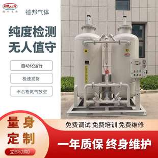 山东制氮机 高纯度工业制氮机 变压吸附制氮设备PSA制氮机发生器