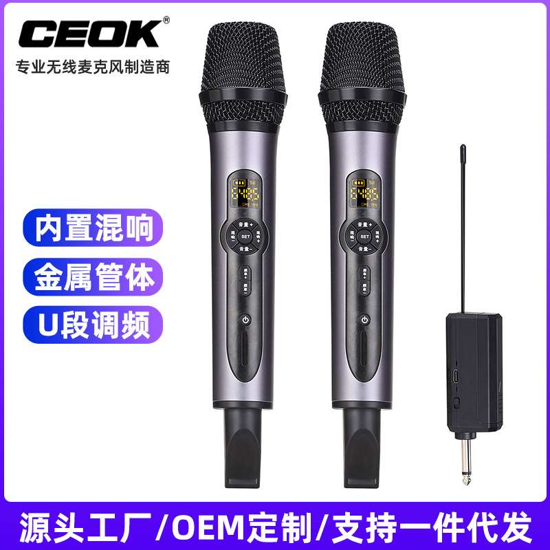 新款U段一拖二无线麦克风可调节混响音量声卡直播KTV家庭户外K歌