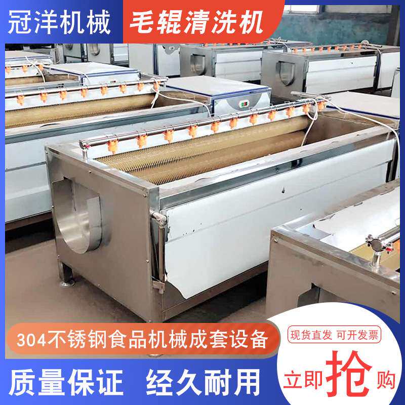 不锈钢多功能九辊清洗机 花生清洗机 田螺海产品毛刷清洗设备