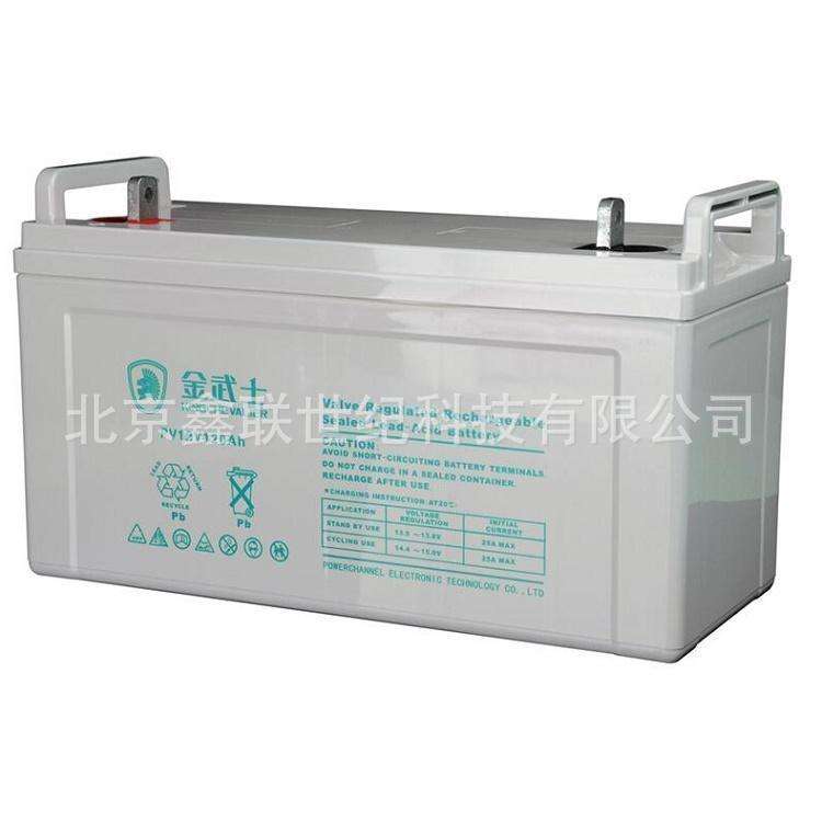 天津金武士蓄电池PW24-12-YA 储能铅酸免维护蓄电池12V-24AH