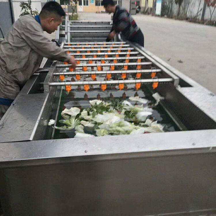 大枣多功能清洗机 果蔬气泡清洗机 净菜加工设备 清洗机械