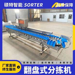 鸡爪鸡腿重量分选机 白条鸡料盒式分级机 龙虾鱼块称重等级分拣机