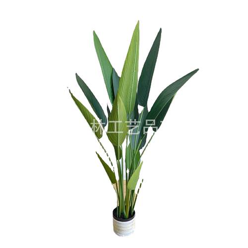 仿真植物美人蕉盆景天堂植物盆栽现室假内花摆鸟件客LL-15厅落地