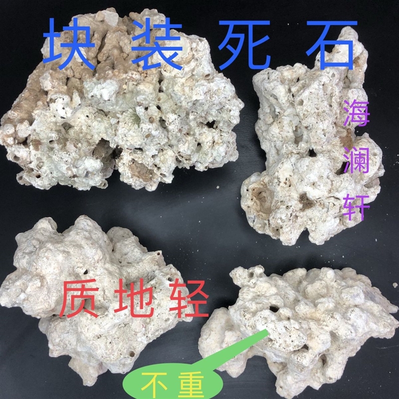 海水天然死石海缸造景石鹿角珊瑚石免爆藻水族箱造景三湖慈鲷造景