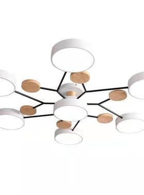 LED爆款北欧灯具吸客厅顶灯现代简约新款房间CWM灯室卧灯书房灯灯