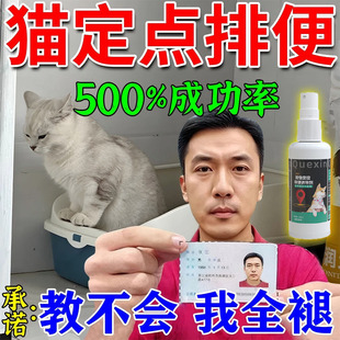 【终身不忘】猫咪定点排便诱导剂宠物猫上厕所防乱拉屎尿神器喷剂