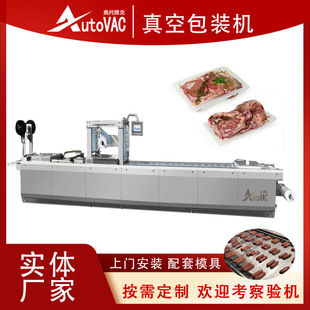 自动包装封口设备 梅花肉排拉伸膜真空包装机 黑猪肉热成型包装机