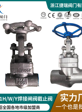 Z/J61H-800LB国标美标俄标A105N锻钢焊接闸阀F304承插焊截止阀F11