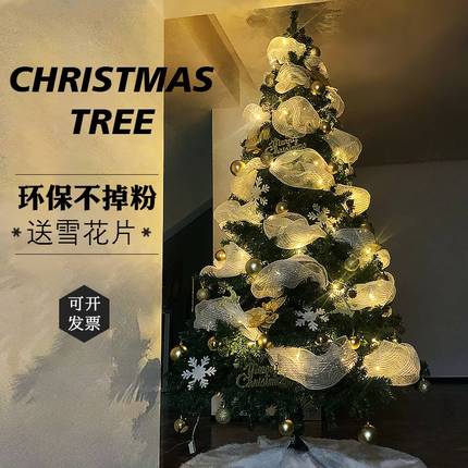 christmas tree豪华圣诞树3米2024新款发光套餐客厅加密高级感韩