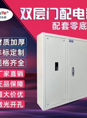 室内双层门总制空开漏电配电箱定做成套照明动力电气柜C45开关箱