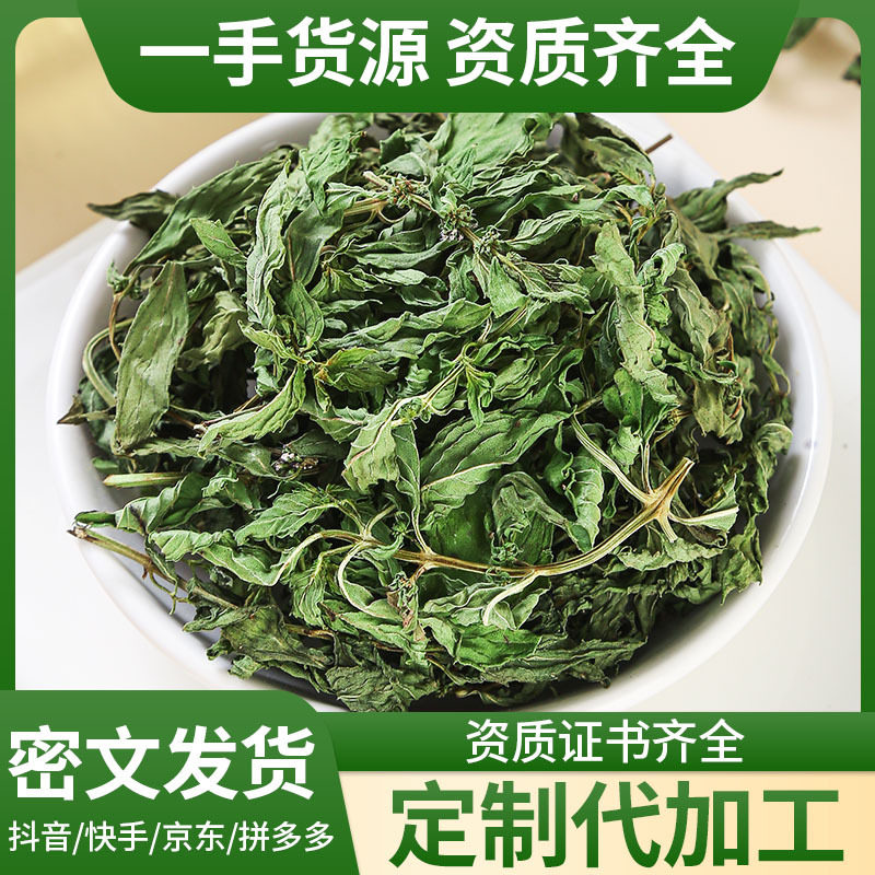 安徽太和留兰香薄荷薄荷茶叶干薄荷叶新鲜可食用泡茶源头直供