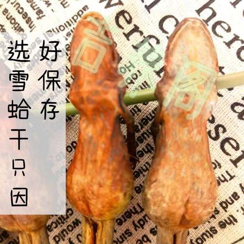 长白山林蛙干林蛙油雪蛤东北雪包油蛤蟆干足干特1干5克QXE满1蛤0