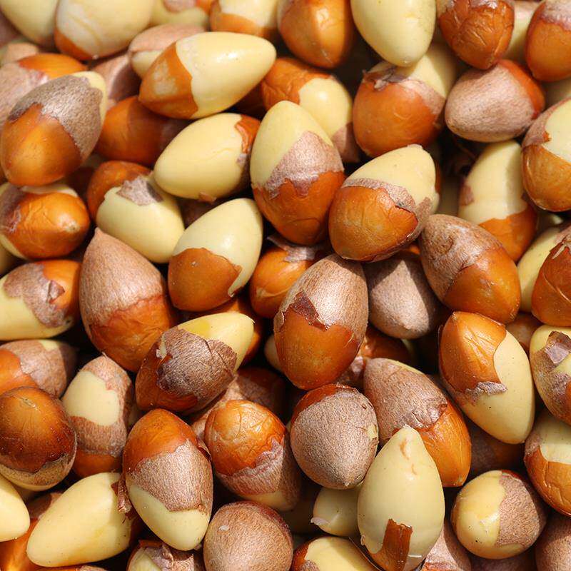 杏【3斤装杏果仁】现剥新银白果手GOA工现鲜剥银送银杏食谱邳州特