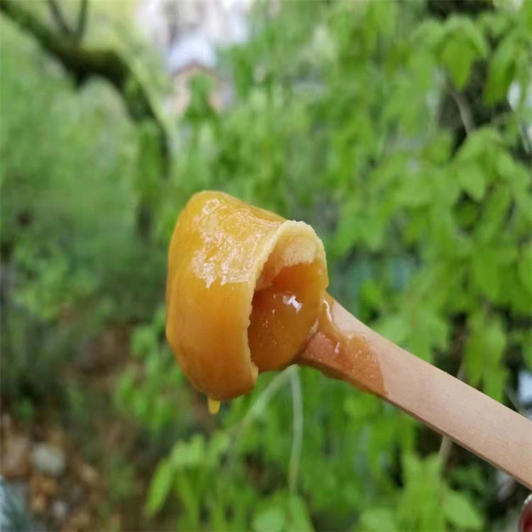蜂蜜 青川高山蜜 农家老巢一年取一次自然成熟 百花蜜 结晶土蜂蜜
