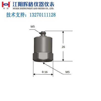 辉格原装HG-A11D100压电式加速度振动传感器（PE）全国包邮